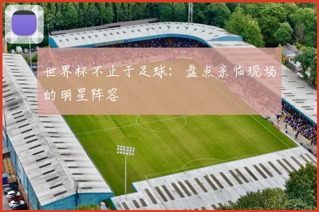 世界杯不止于足球:盘点亲临现场的明星阵容