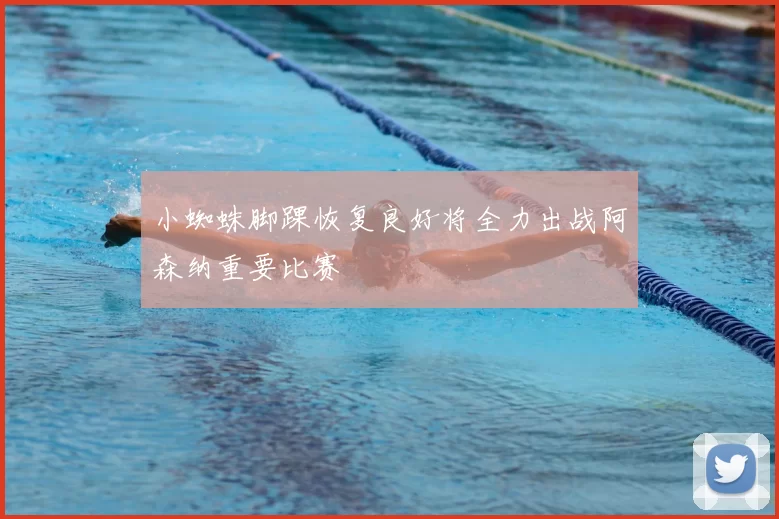 小蜘蛛脚踝恢复良好将全力出战阿森纳重要比赛