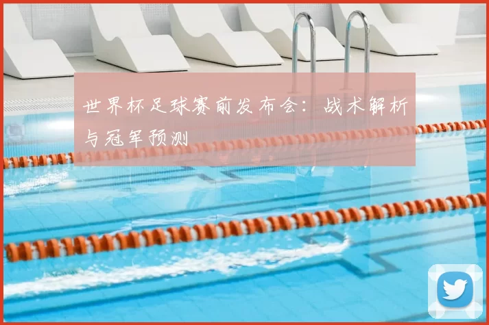 世界杯足球赛前发布会：战术解析与冠军预测