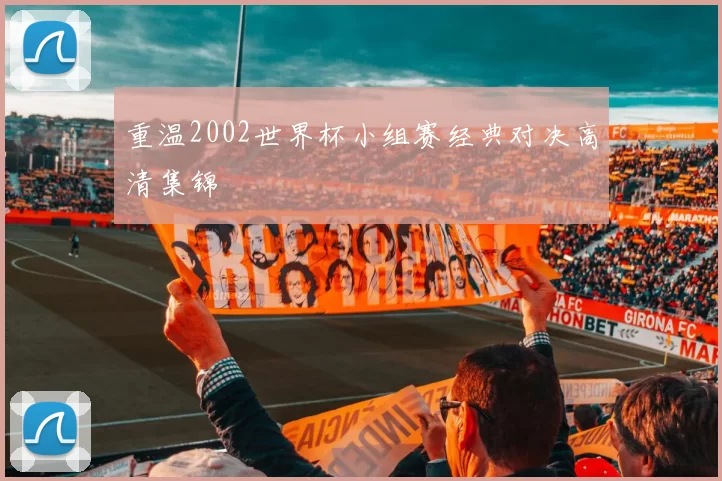 重温2002世界杯小组赛经典对决高清集锦
