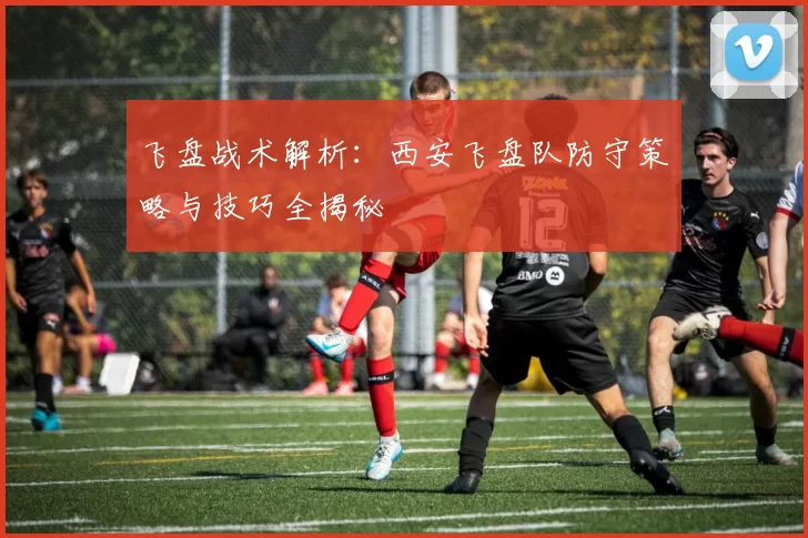 飞盘战术解析：西安飞盘队防守策略与技巧全揭秘