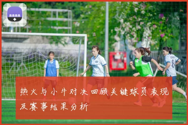 热火与小牛对决回顾关键球员表现及赛事结果分析