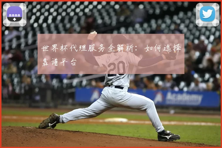 世界杯代理服务全解析:如何选择靠谱平台