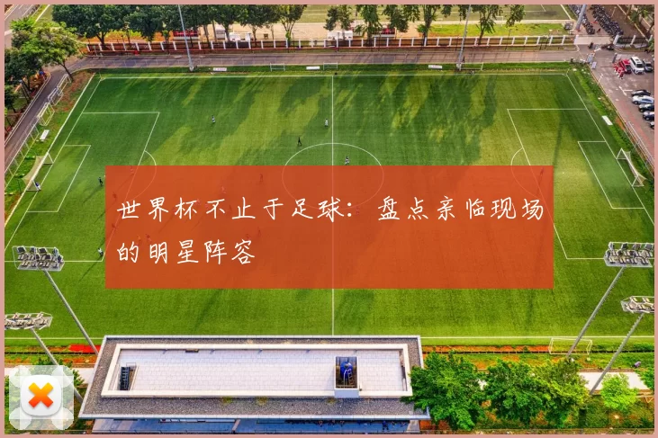 世界杯不止于足球：盘点亲临现场的明星阵容