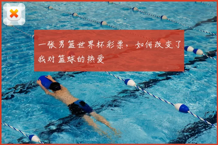 一张男篮世界杯彩票，如何改变了我对篮球的热爱