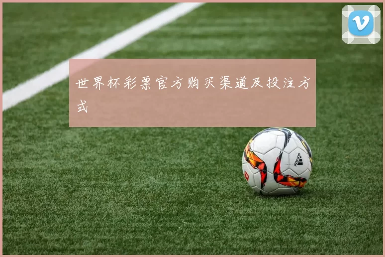 世界杯彩票官方购买渠道及投注方式
