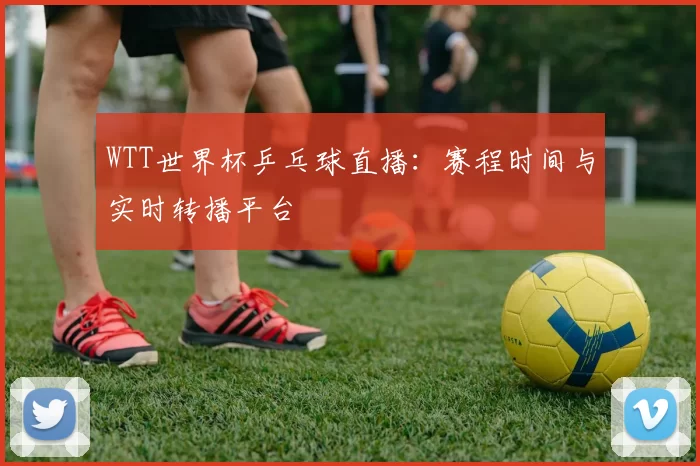 WTT世界杯乒乓球直播：赛程时间与实时转播平台