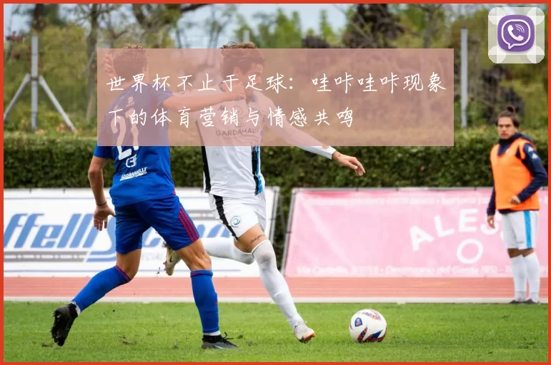 世界杯不止于足球:哇咔哇咔现象下的体育营销与情感共鸣