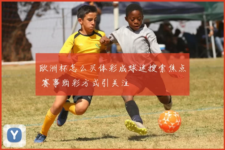 欧洲杯怎么买体彩成球迷搜索焦点 赛事购彩方式引关注